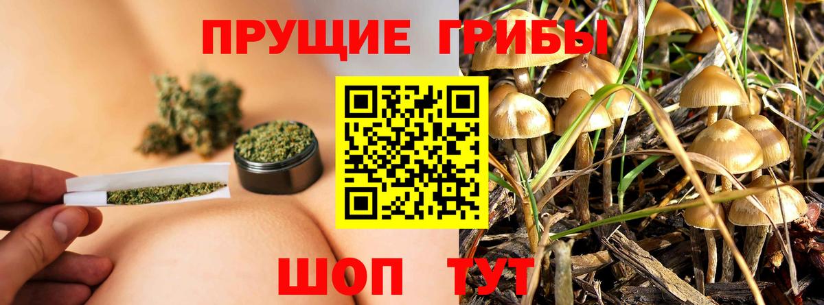 Галлюциногенные грибы мицелий Вязьма